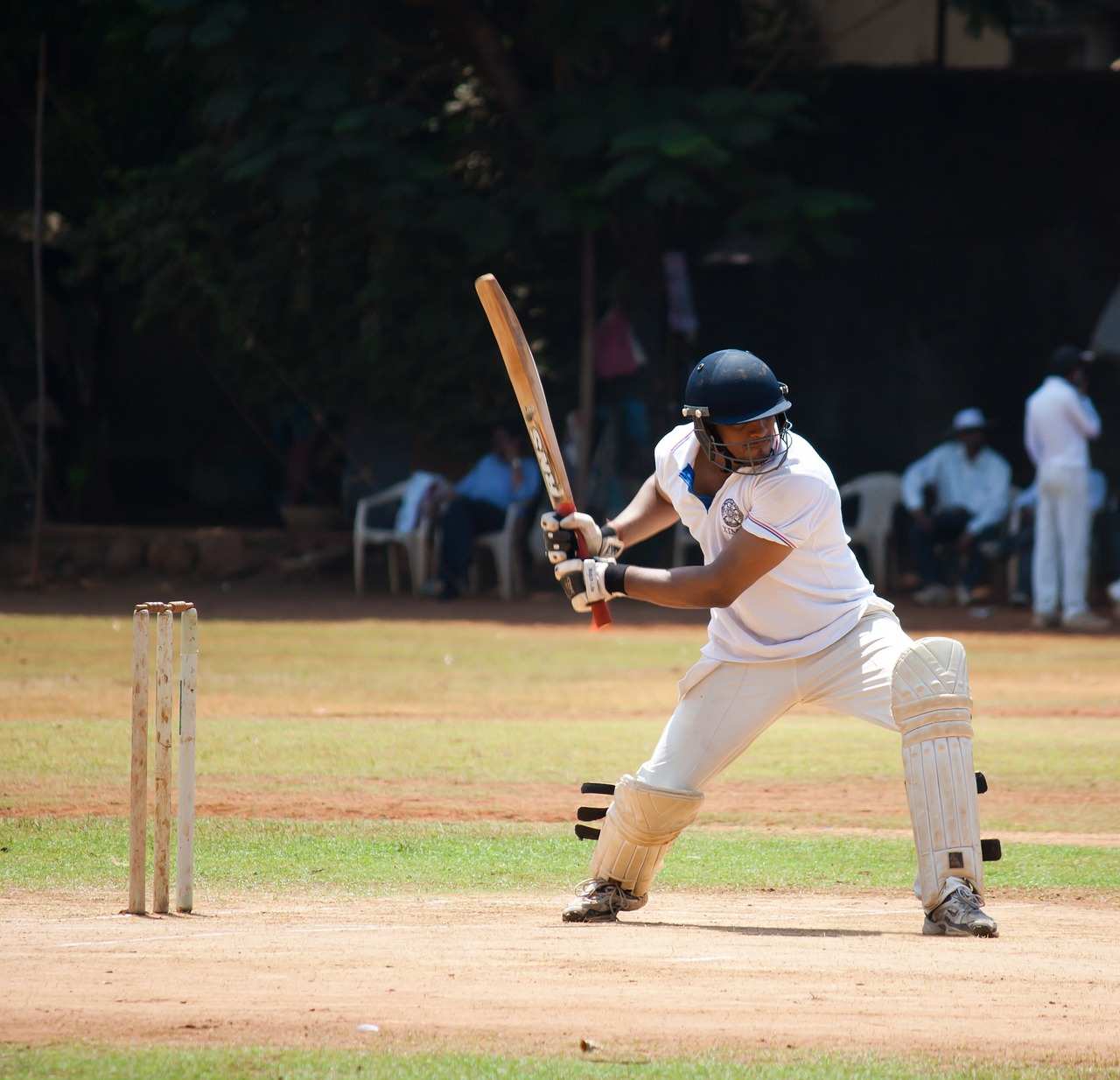 Evolution of Cricket